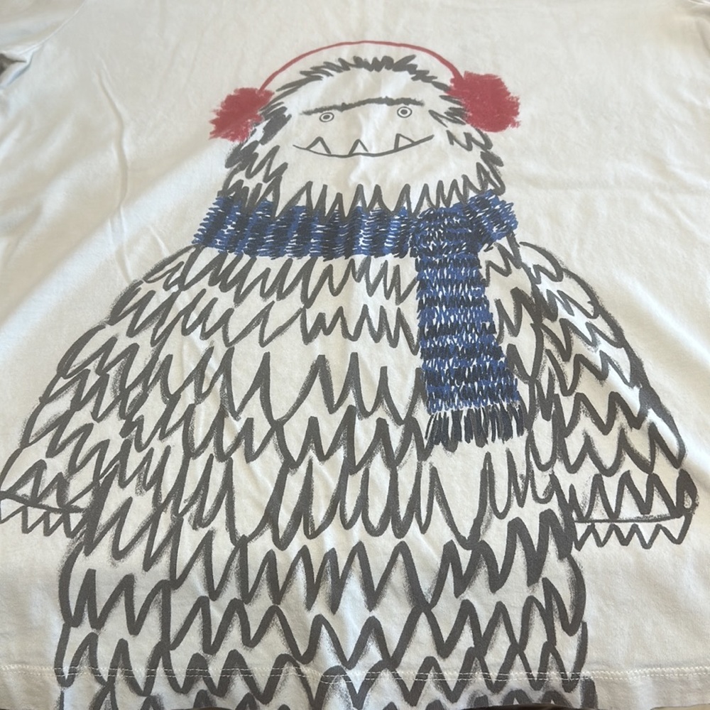 hanna Anderson tee; Size 160/14-16; Boys; Long Sleeves.